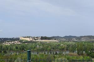 2018 04 16 AVIGNON (58)